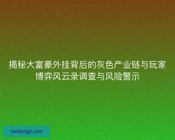 揭秘大富豪外挂背后的灰色产业链与玩家博弈风云录调查与风险警示